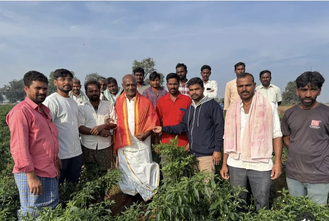 Farmer Story 5